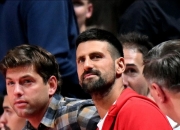 开云在线直播-包含世界网球队翻盘德国网球队，德约科维奇统治全场的词条