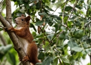 开云官方app入口-魔术师归来，浓眉节奏魔法如何彻底瓦解辽宁战车