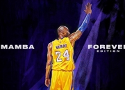 开云体育中国-黑鹰振翅，武切维奇内线统治，亚特兰大强势晋级独行侠