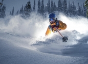 开云体育官网-赛道与绿茵场，当F1争冠焦点遇上勒沃库森的波兰攻略