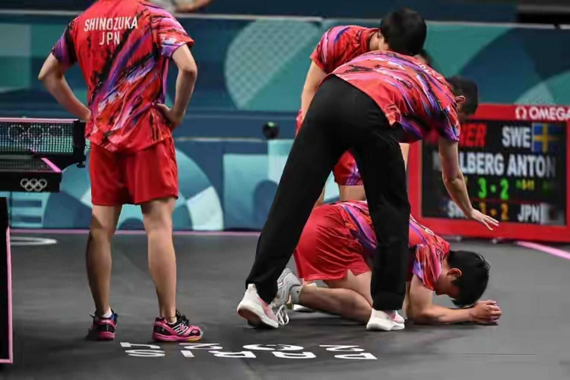 包含法国乒乓球队轻取比利时乒乓球队，张本智和统治全场的词条