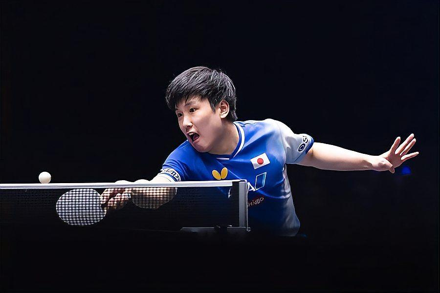 中国队鏖战日本队，张本智和刷新纪录的简单介绍