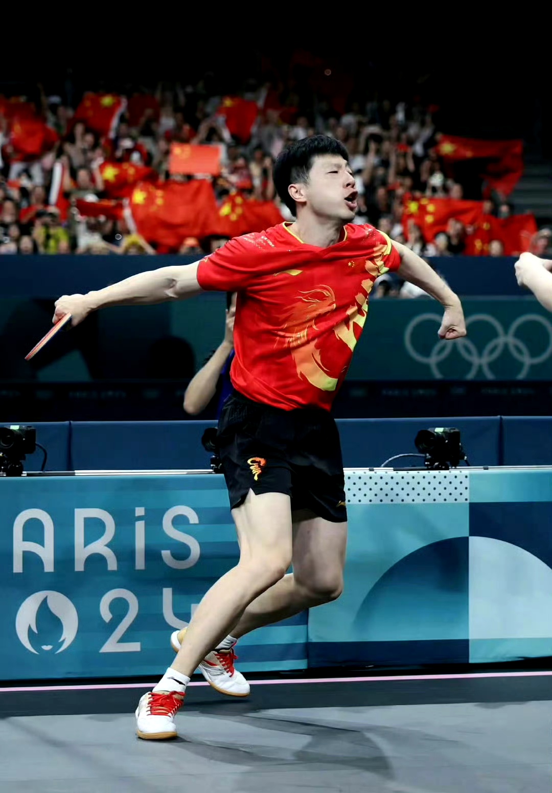 中国乒乓球队险胜波兰乒乓球队，马龙制霸全场