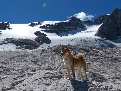 火箭碾压老鹰，哈利伯顿接管季后赛，新一代控卫的崛起宣言