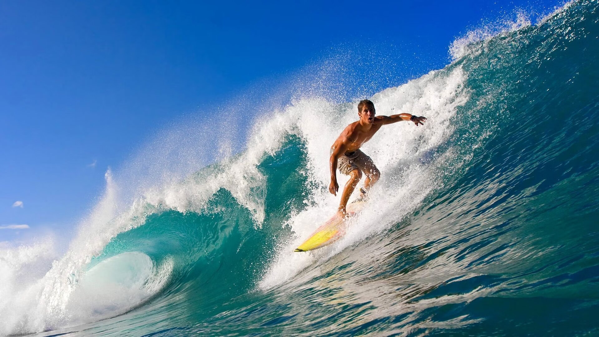 世界杯之夜，文班亚马如何成为美加墨之战的胜负手