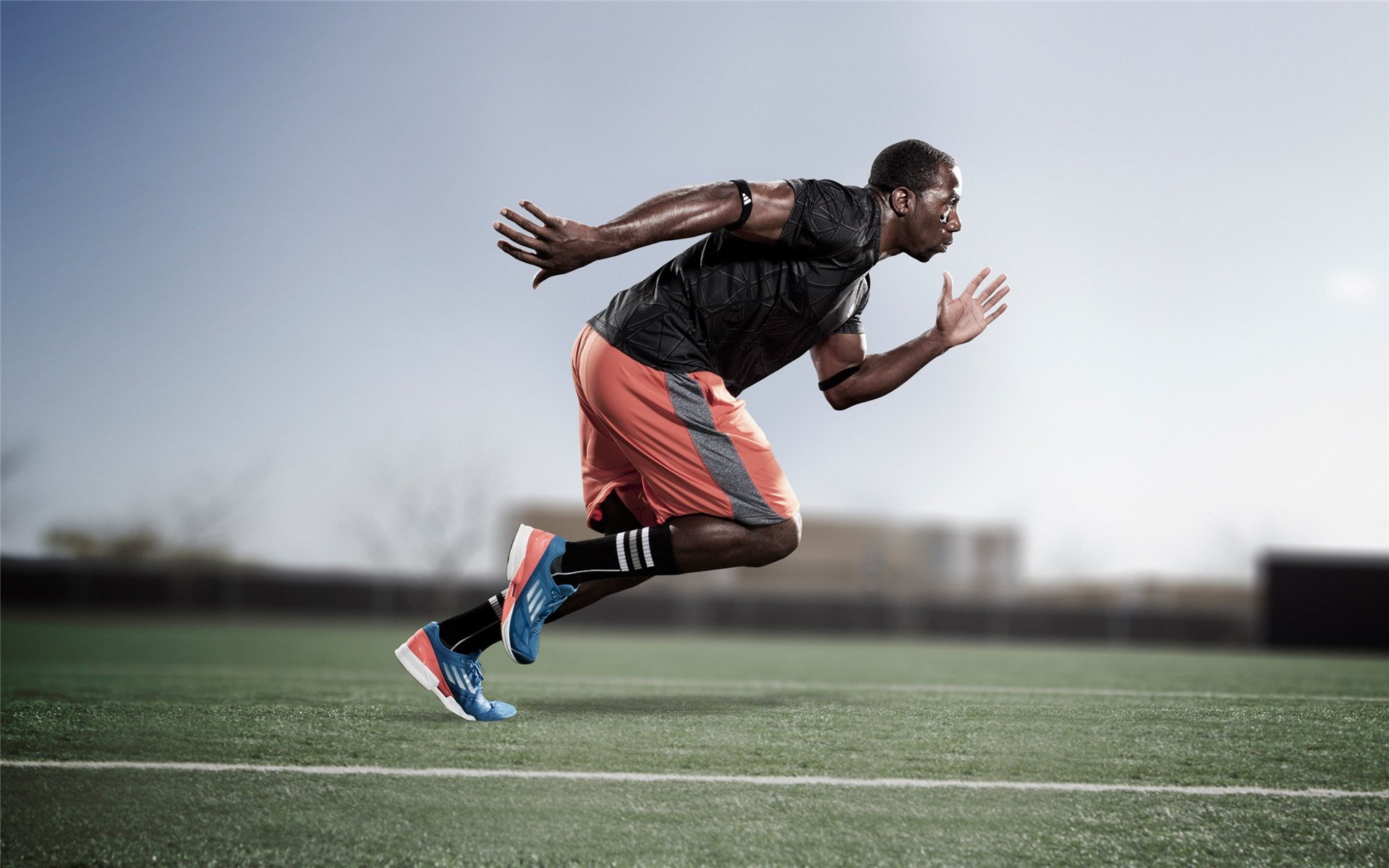 赛道与球场，当F1争冠焦点战遇上辽宁队收割爵士